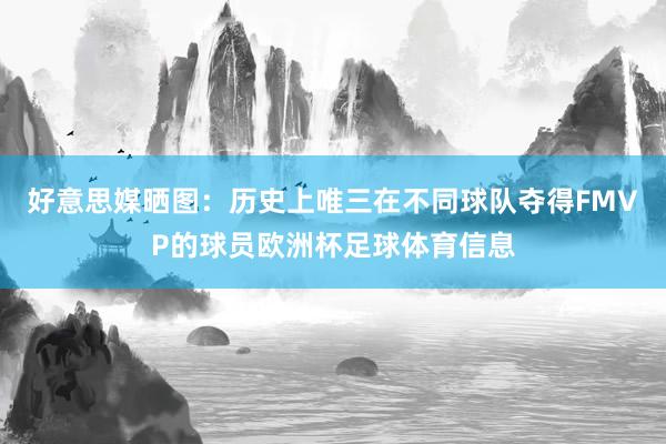 好意思媒晒图：历史上唯三在不同球队夺得FMVP的球员欧洲杯足球体育信息