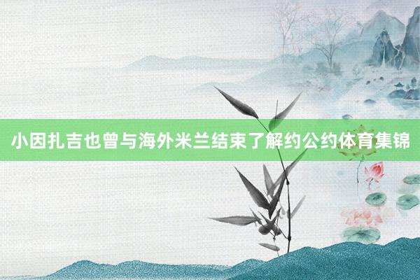 小因扎吉也曾与海外米兰结束了解约公约体育集锦