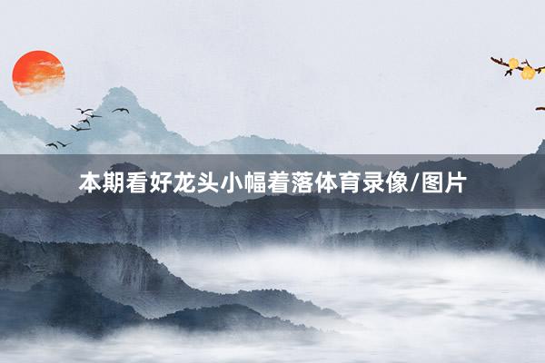 本期看好龙头小幅着落体育录像/图片