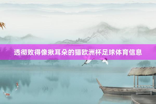 透彻败得像揪耳朵的猫欧洲杯足球体育信息
