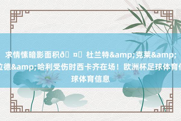 求情愫暗影面积🤕杜兰特&克莱&利拉德&哈利受伤时西卡齐在场！欧洲杯足球体育信息