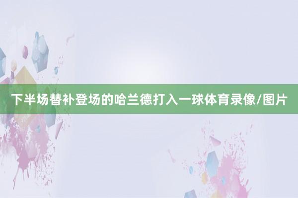 下半场替补登场的哈兰德打入一球体育录像/图片