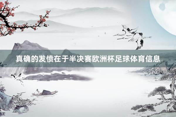 真确的发愤在于半决赛欧洲杯足球体育信息