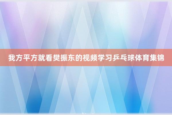 我方平方就看樊振东的视频学习乒乓球体育集锦